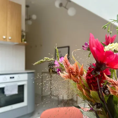 New! Mini-designer Rooftop Ac & Garden, Castle! Apartment Prague